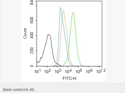 6052b0bcc9025.png image.png