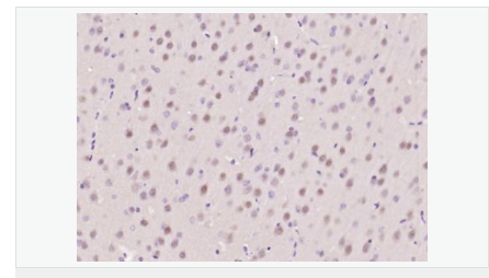 605835843a52e.png image.png