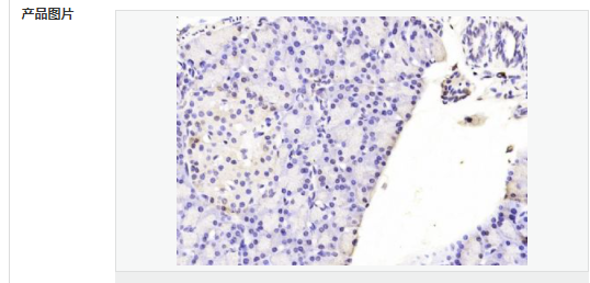 60651c113ebc1.png image.png