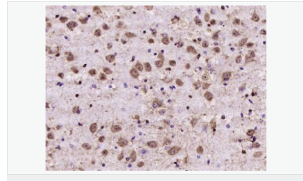 607643d7b6efb.png image.png