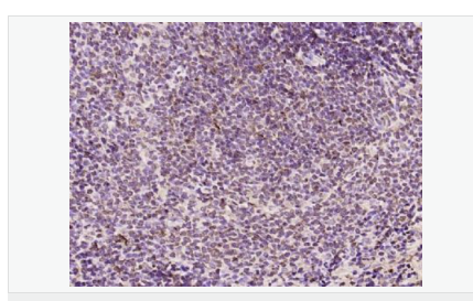 607643dd11609.png image.png